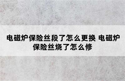 电磁炉保险丝段了怎么更换 电磁炉保险丝烧了怎么修